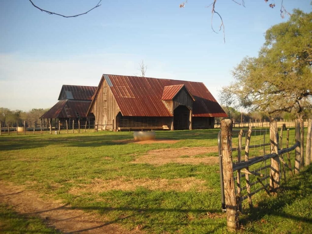 How To Start Homesteading (What You Really Need To Know)