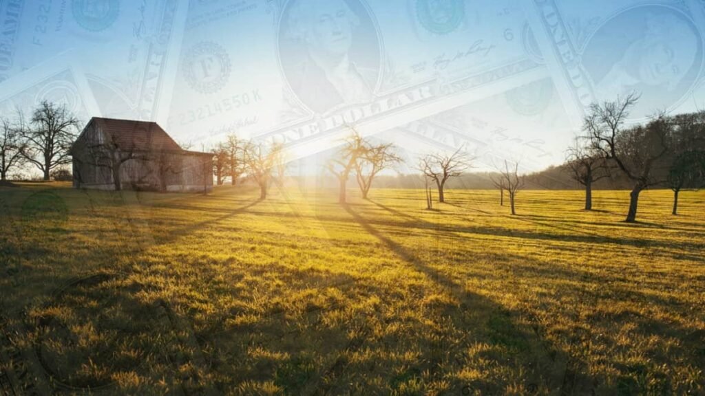 Best Homestead Income Ideas – How To Start An Income Stream