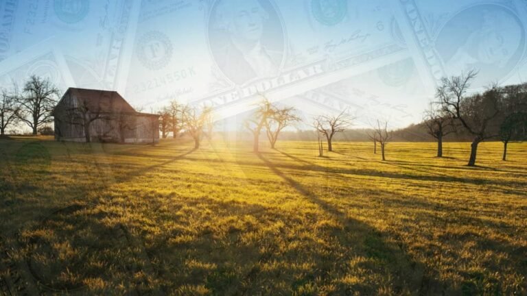 Best Homestead Income Ideas – How To Start An Income Stream