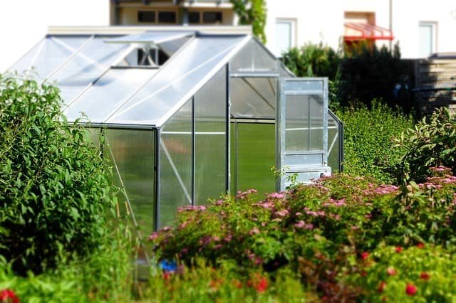 Where To Place A Greenhouse In Your Yard – Think Portable!