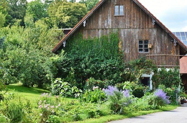 The Backyard Homesteader- The Possibilities Are Endless