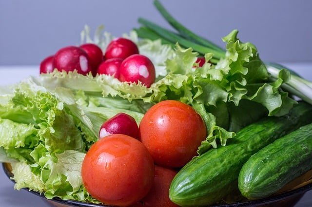 Container Gardening Facts And Trends – Backyard Homesteader Series