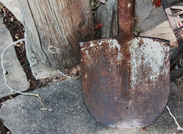 Homesteading: Here’s What To Do First