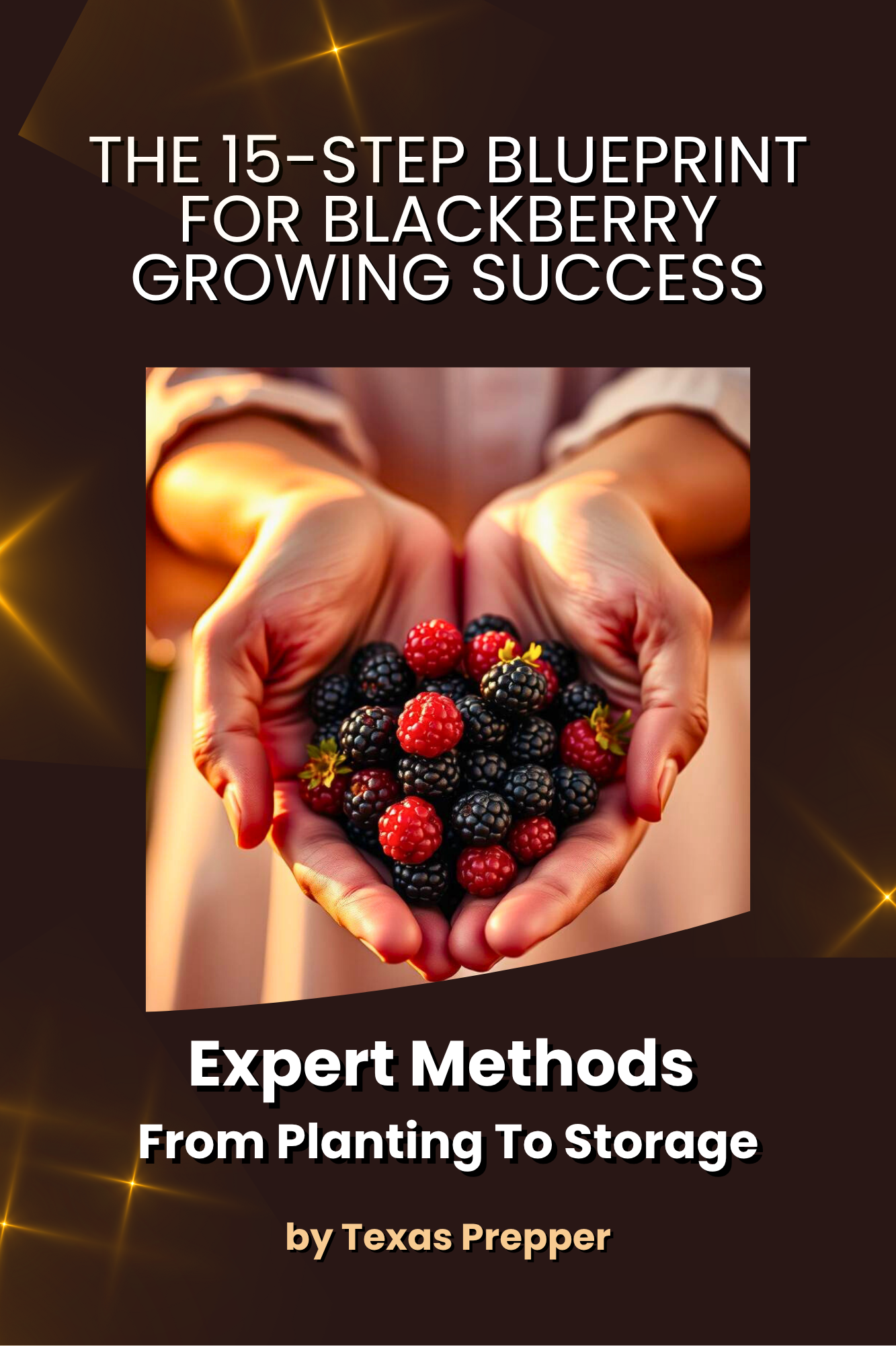15-Step Blueprint to Blackberry Success