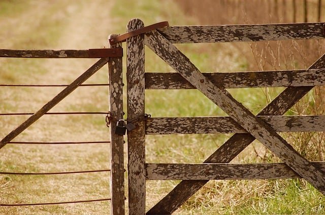 Small Scale Homestead Farming – What Can I Expect?
